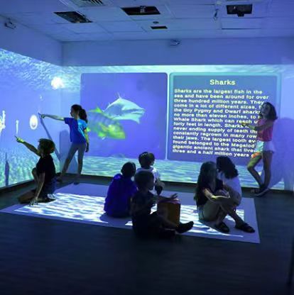 Immersive interaction